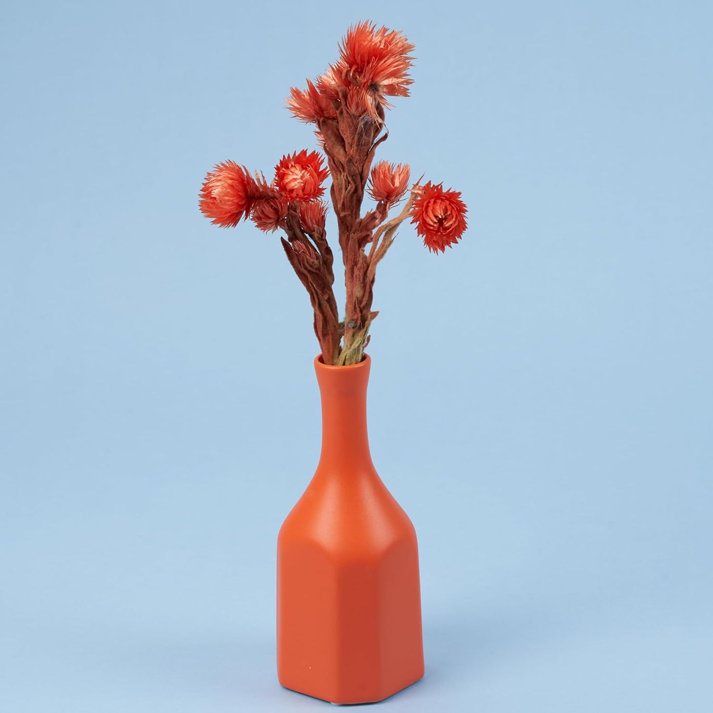 Seamless Photography Background Paper Roll, Blue Photo Paper Backdrop for Photography, Video and Streaming (Sky Blue, 82" x16')