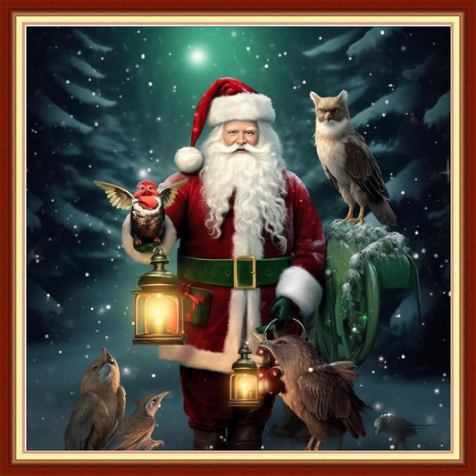 Dooxvey Cross Stitch Kits for Adults Beginners - Full Range of Stamped Kits - 11CT Cross Stitch Patterns - Santa Claus Owl - 18x18 inch