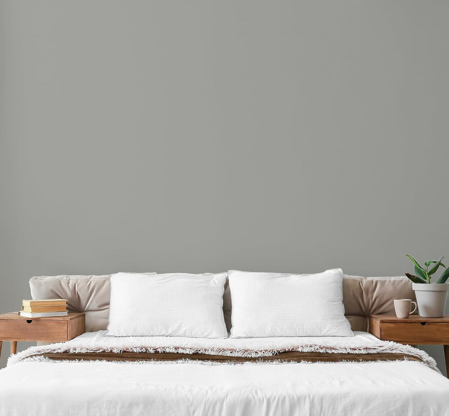 EVOLVE Paint & Primer: Environment-friendly, Low Sheen with One-coat Coverage for Interior & Exterior surfaces (Graphite Gray, 5-Gallon)