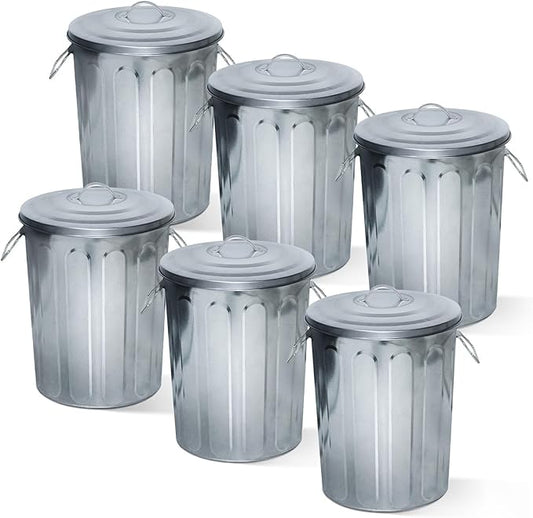 Plexon 5 Gallon Small Metal Trash Can with Lid Outdoor Galvanized Bucket with Lid 5 Gal Fireplace Ash Bucket for Wood Stove Storage Can for Dog Food Bird Seed Storage Container Rodent Pet Proof 6 Pack