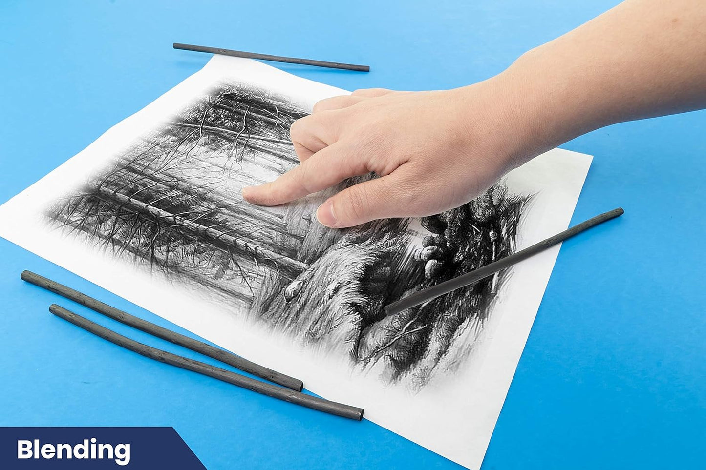 Pacific Arc Artist Vine Charcoal, Medium, Black 4 Charcoal Sticks for Drawing, Sketching, and Fine Art