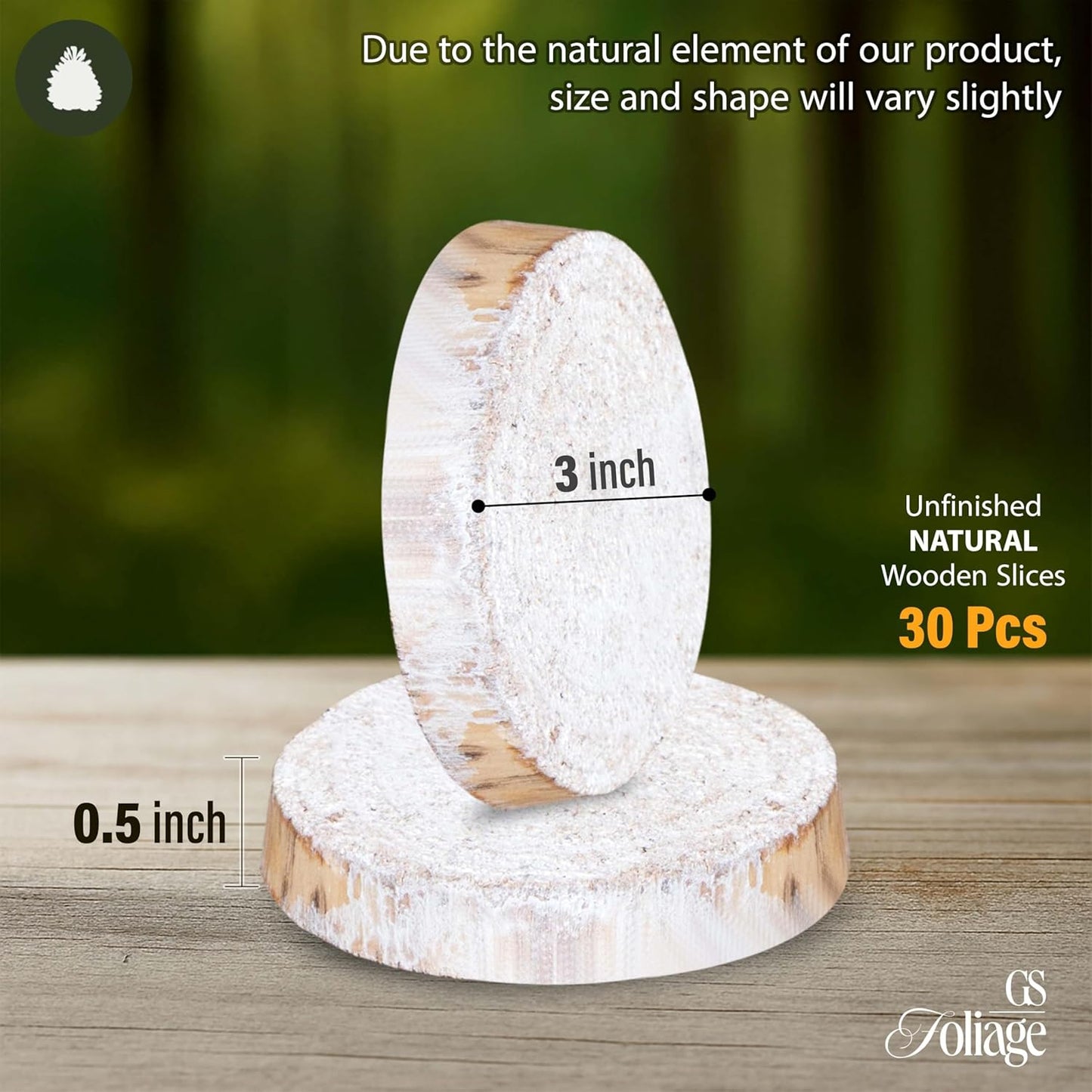 Wood Slices in Mesh Bag for Crafts DIY Projects Rustic Wedding Decorations Ornaments Coasters Tags Home Decor (White Washed)