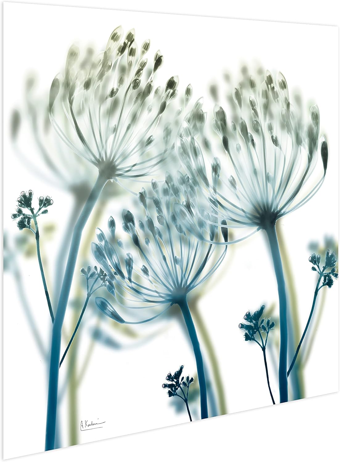 Empire Art Direct Frameless Free Floating Tempered Glass Panel Graphic Wall Art Ready to Hang, 24" x 24", Unfocused Beauty 2