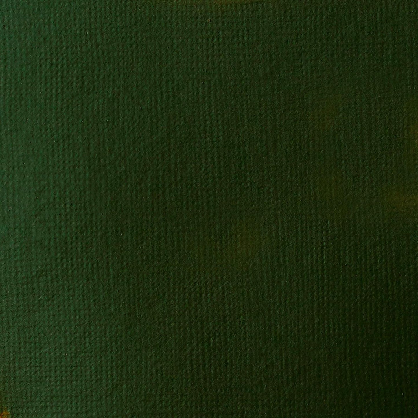 Liquitex BASICS Acrylic Paint, 400ml (13.5-oz) Bottle, Hooker’s Green Hue Permanent