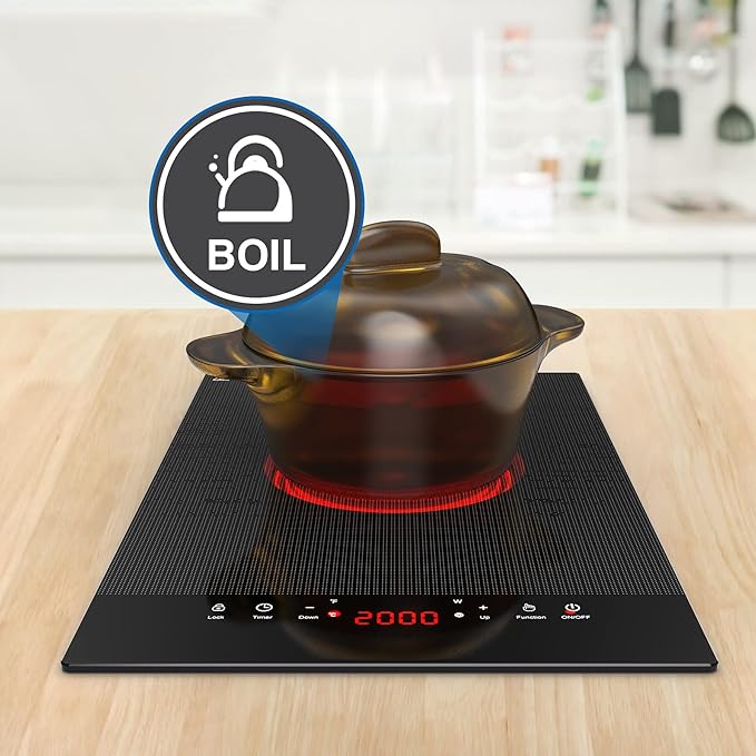 VBGK Electric Cooktop,110V Electric Stove Top,Single Burner Electric Cooktop LED Touch Control,9 Power Levels, Kids Lock &Timer,Overheat Protection,2000W Portable Burner