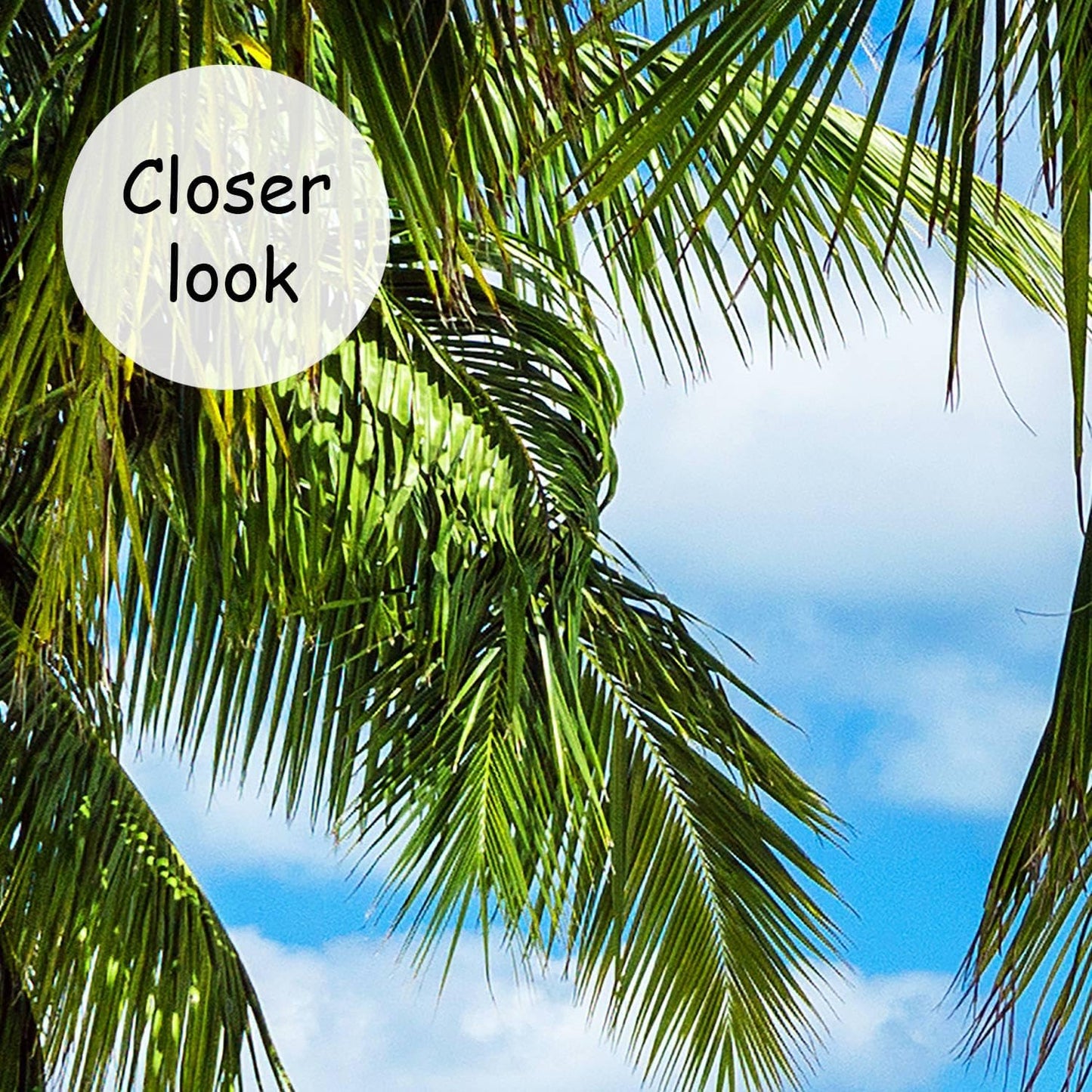 AFZEVEB-Beach Wall Mural Tropical Palm Tree Landscape Wallpaper for Bedroom 114"x74"(Not Peel and Stick)