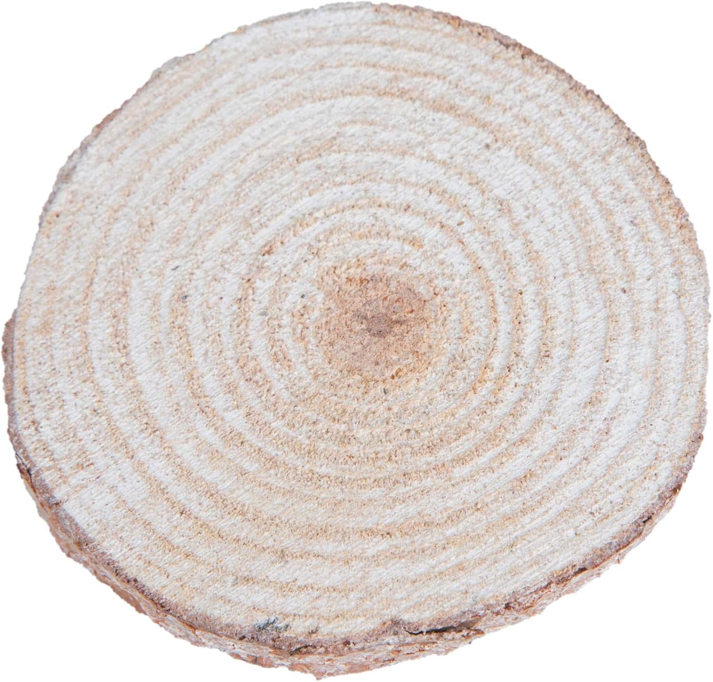 Wood Slices in Mesh Bag for Crafts DIY Projects Rustic Wedding Decorations Ornaments Coasters Tags Home Decor (White Washed)