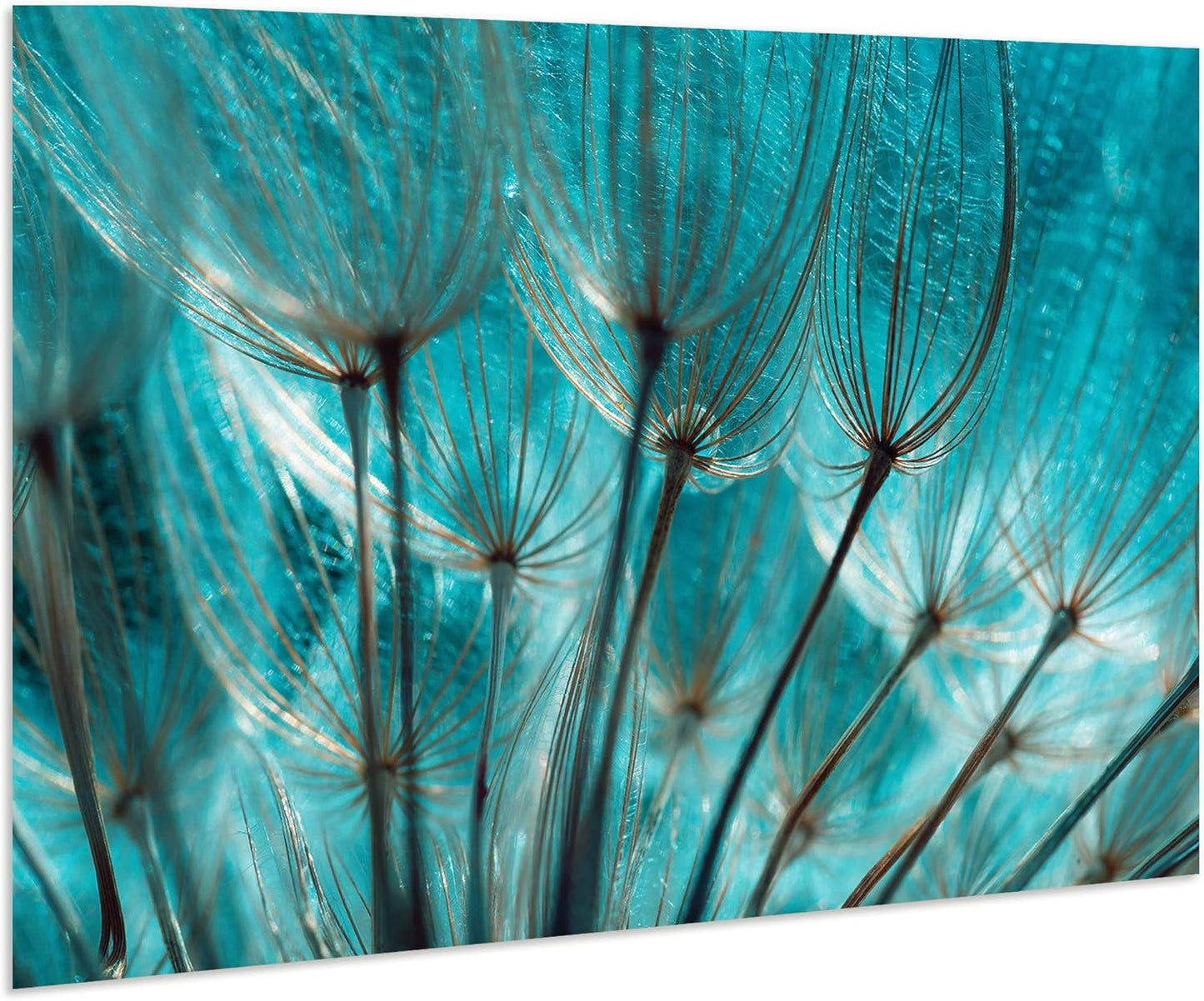 Empire Art Direct Frameless Free Floating Tempered Glass Panel Graphic Wall Art Ready to Hang, 32" x 48", Turquoise Dandelion