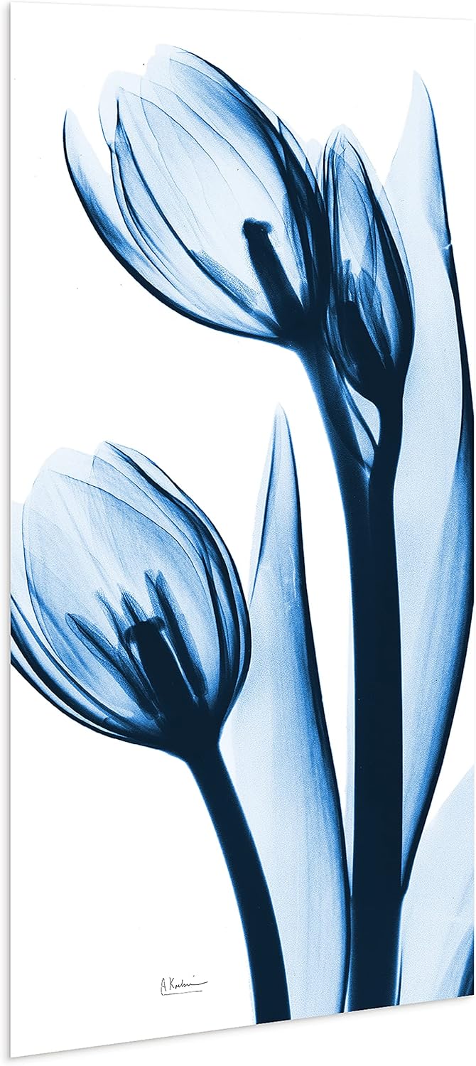 Empire Art Direct Frameless Tempered Glass Wall Art, Decorative Panel, Flower Wall Decor, Ready to Hang, 24" x 48", Two Blue Tulips