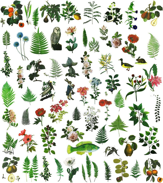 Vintage Vellum Stickers Floral Plants Elements Scrapbooking Supplies Flowers Botanic Natural Translucent Paper Self-Adhesive Junk-Journal Items (Fern)