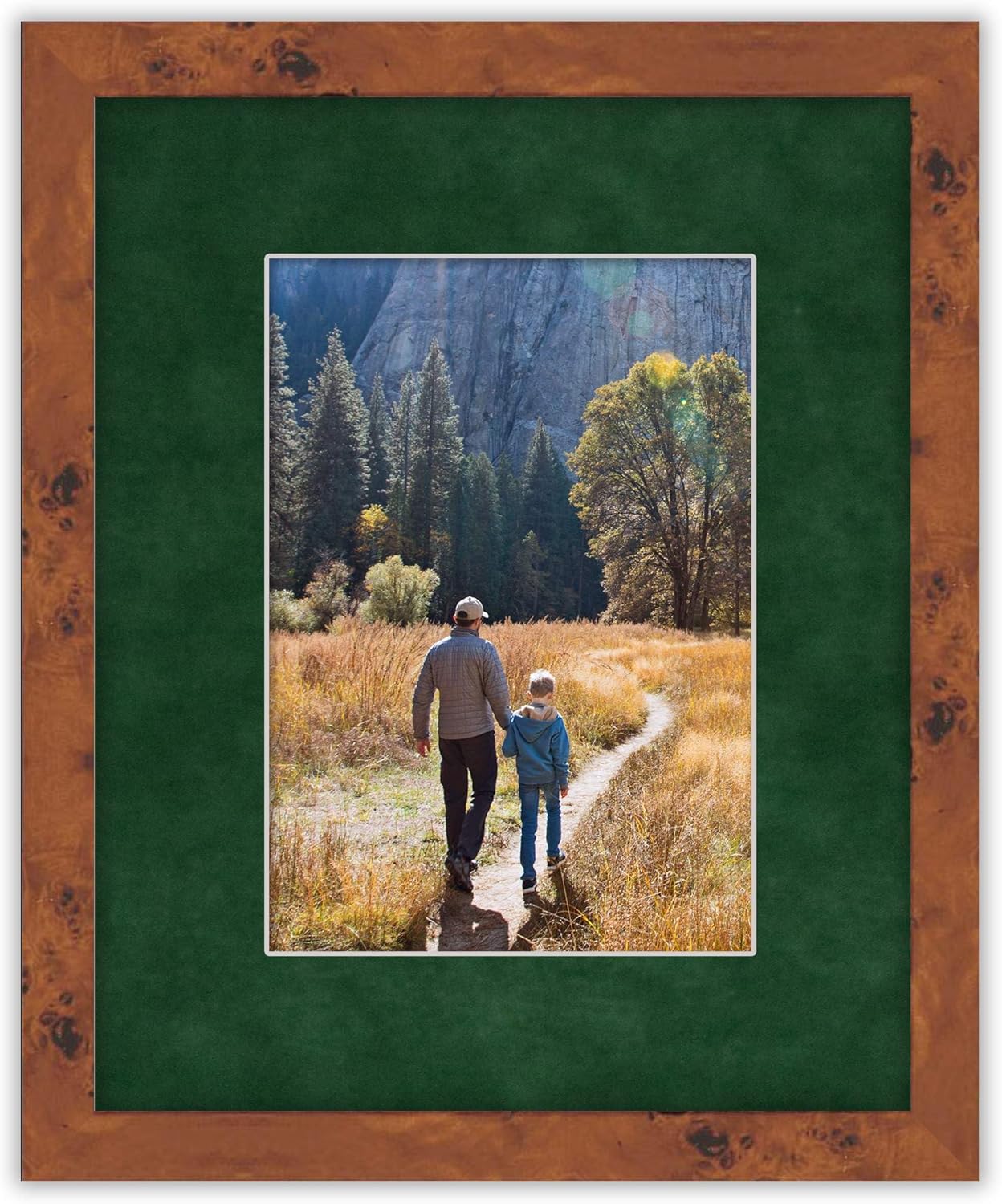 Pack of TEN 11x14 Mats Bevel Cut for 8.5x11 Photos - Acid Free Green Suede Precut Matboards For Pictures, Photos, Framing - 4-ply Thickness