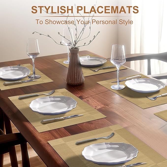 BETEAM Placemats Set of 8, Woven Vinyl Placemat for Dining Table Washable Wipeable Kitchen Place Mats Durable Indoor Outdoor Table Mats