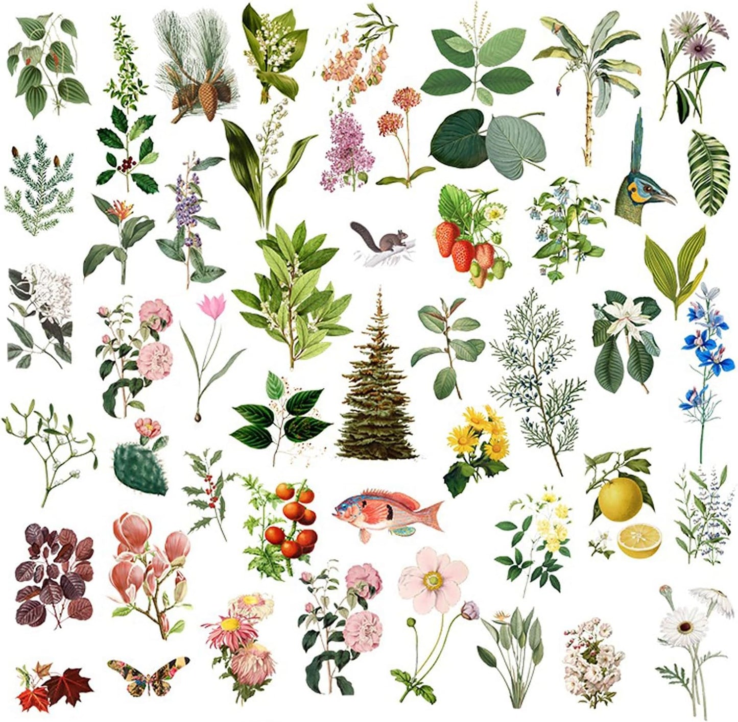 Vintage Vellum Stickers Floral Plants Elements Scrapbooking Supplies Flowers Botanic Natural Translucent Paper Self-Adhesive Junk-Journal Items (Plant World)