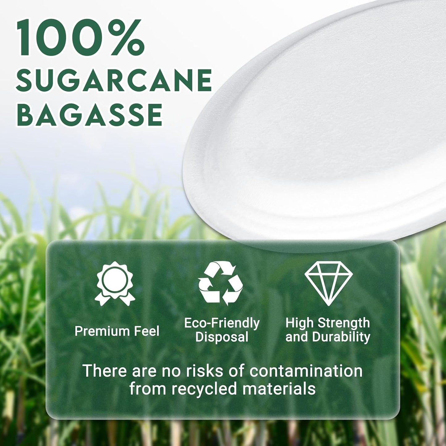 100% Compostable Oval Paper Plates 12 inch Bulk 100 Count, Heavy Duty Large Disposable Plates, Eco-Renewable Sugarcane Pulp Plates for Party,Dinner& Daily Use, White