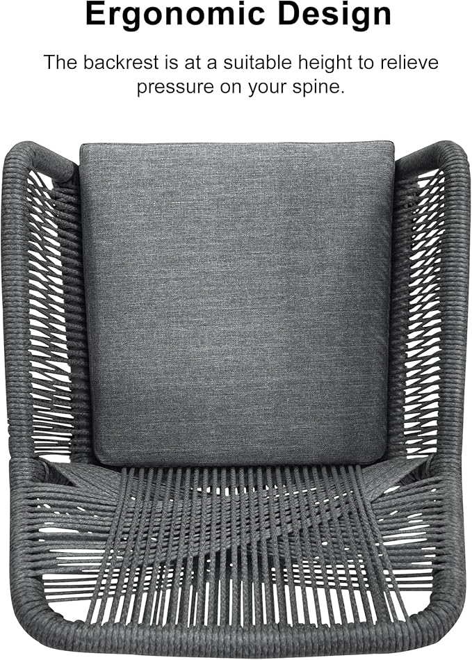 PURPLE LEAF 9 Pieces Outdoor Patio Dining Set All-Weather Aluminum Frame PE Rattan Outdoor Patio Furniture Set Rectangular Table and Chairs Set for 8 People Lawn Garden Backyard Deck, Grey