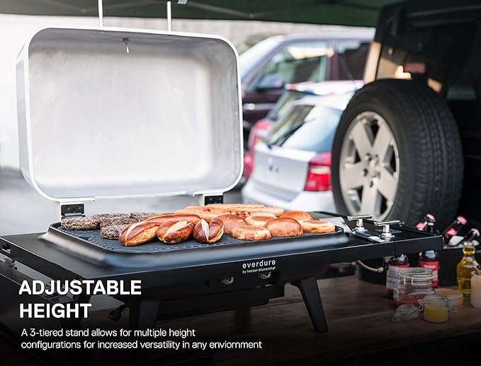 Everdure FORCE 2 Burner Gas Grill, Liquid Propane Portable BBQ Grill with Die-Cast Aluminum Body and Fast-Ignition Technology, 388 Square Inches of Grilling Surface, Adjustable Height, Matte Black