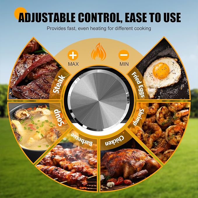 Camping Stove - 2-Burner Propane Camp Stove with Push-Button Instant Ignition,Adjustable Stove with Carry Bag & Handle for Outdoor Tailgating, Backyard BBQ Camping Essentials