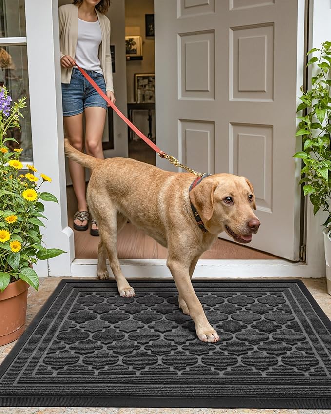Color&Geometry Front Door Mat Outside Entrance, Heavy Duty Non Slip Low Profile Doormat for Entryway, Trap Dirt and Moisture Welcome Mats All-Weather, Easy Clean, Patio, Garage, 24"x48" Grey