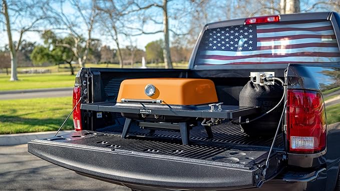 Everdure FORCE 2 Burner Gas Grill, Liquid Propane Portable BBQ Grill with Die-Cast Aluminum Body and Fast-Ignition Technology, 388 Square Inches of Grilling Surface, Adjustable Height, Matte Black