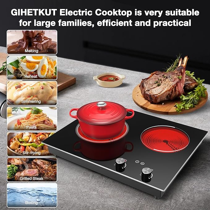 Electric Cooktop,1110V 2100W 2 Burner stove,Built-in & Countertop Stove Top with10 Heating Level, Timer & Kid Safety Lock, LED Knob Touch Control 2 Burner Electric Cooktop
