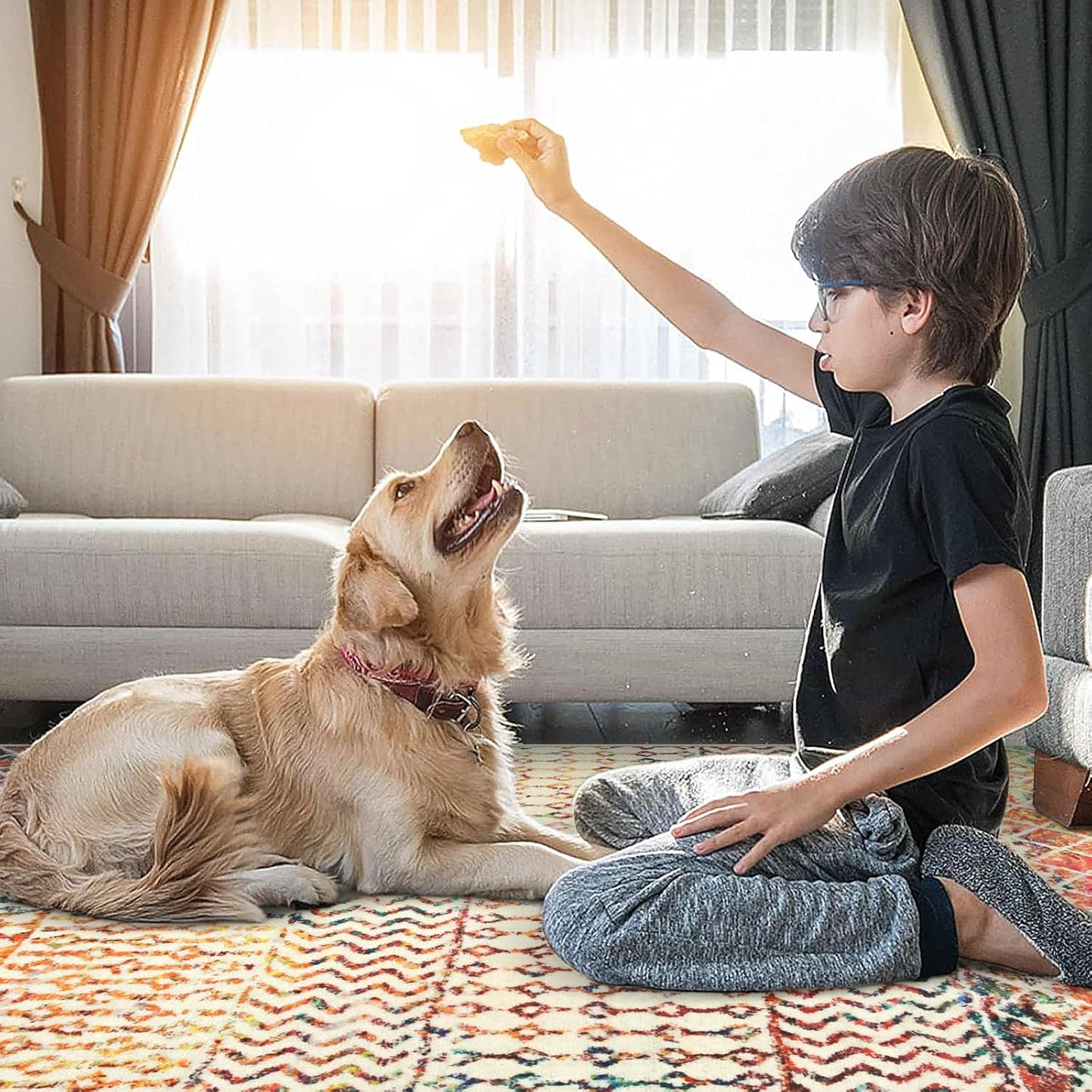 4x6 Rug for Living Room, Soft Non Slip Indoor Front Door Mat, Low-Pile Machine Washable Area Rug Floor Carpet for Bedroom Classroom Office Dining Room