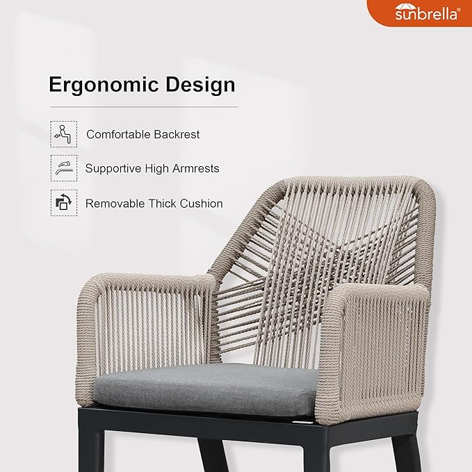PURPLE LEAF 11 Pieces Patio Dining Set Aluminum Modern Rectangular Table and Rattan Arm Chairs with Cushions for Kitchen Porch Garden Outdoor Furniture Sets, Dark Grey