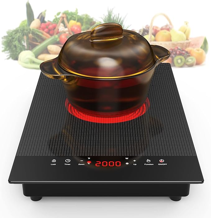 VBGK Electric Cooktop,110V Electric Stove Top,Single Burner Electric Cooktop LED Touch Control,9 Power Levels, Kids Lock &Timer,Overheat Protection,2000W Portable Burner