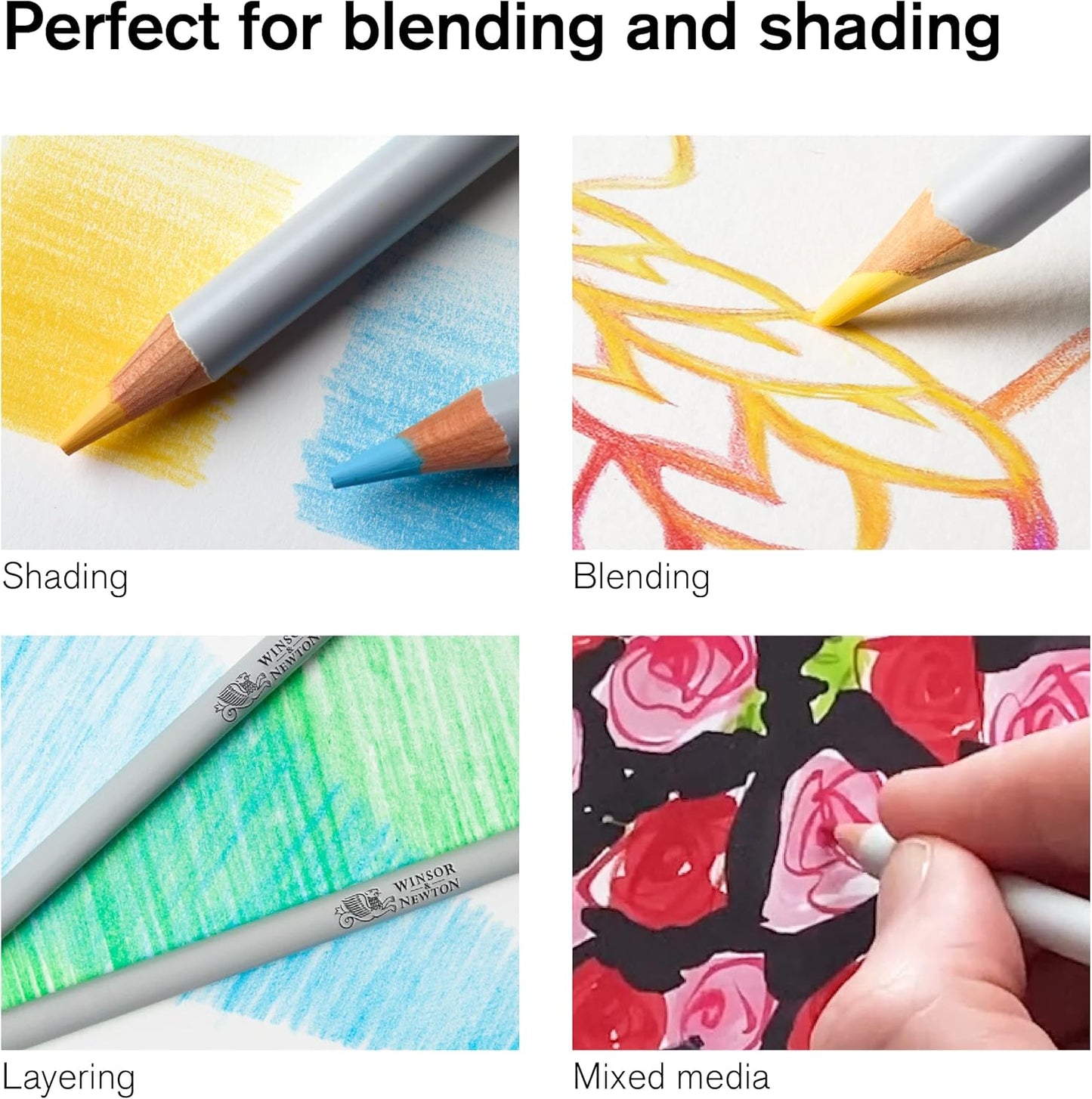 Winsor & Newton Studio Collection Artist Pencils, Color Pencils, Set of 48