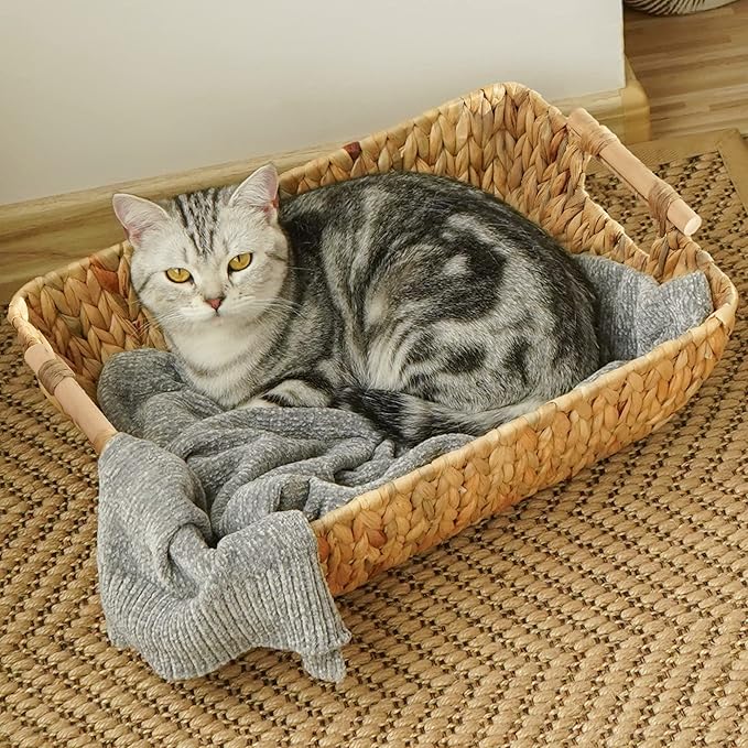 StorageWorks Hand-Woven Jumbo Storage Baskets with Wooden Handles, Water Hyacinth Wicker Baskets for Organizing, 2 Pack