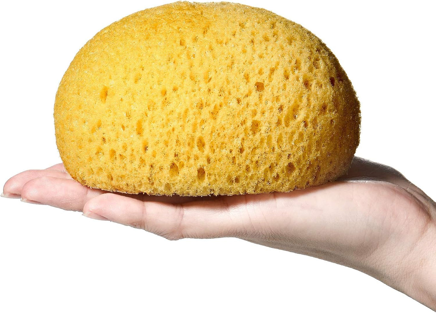 Patelai Knockdown Texture Sponge Drywall Wall Patch Ceiling Texture Sponge Home Decor for Repair DIY Painting Ceiling(1 Piece,11.5 x 9.5 x 6.5 cm)