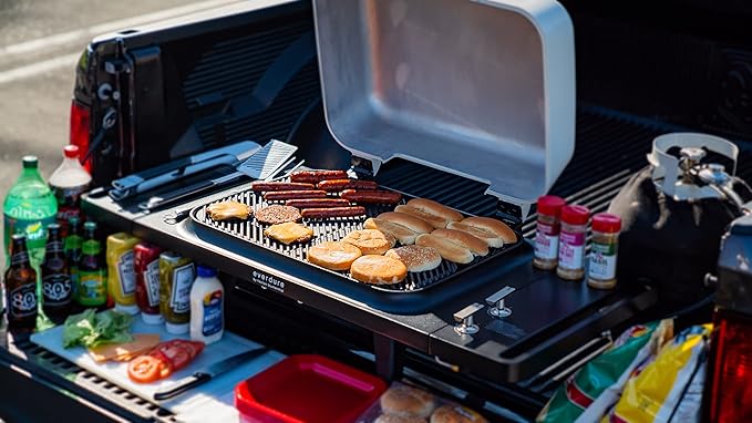 Everdure FORCE 2 Burner Gas Grill, Liquid Propane Portable BBQ Grill with Die-Cast Aluminum Body and Fast-Ignition Technology, 388 Square Inches of Grilling Surface, Adjustable Height, Matte Black