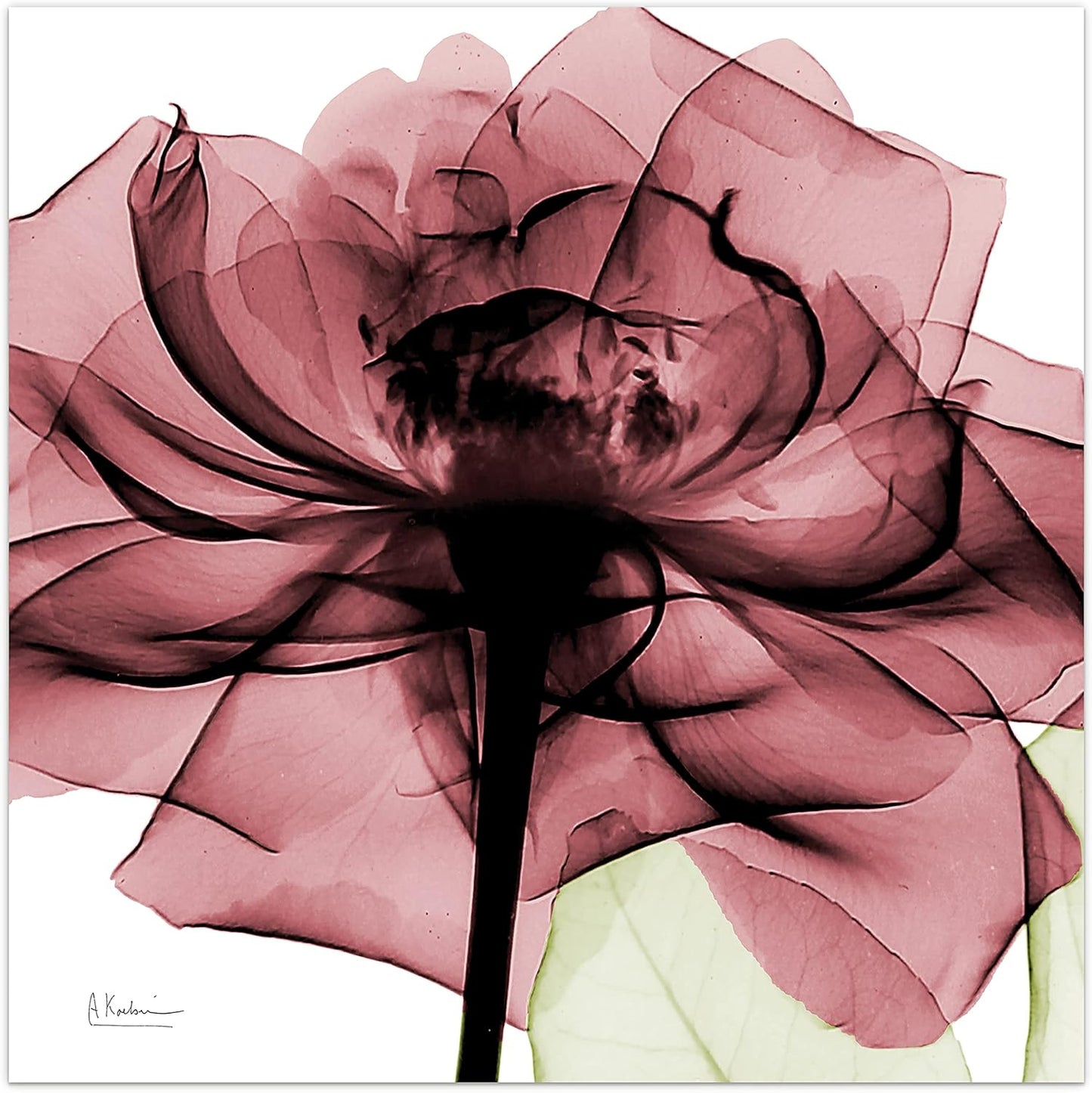 Empire Art Direct Frameless Free Floating Tempered Glass Panel Graphic Wall Art Ready to Hang, 24" x 24", Chianti Rose II