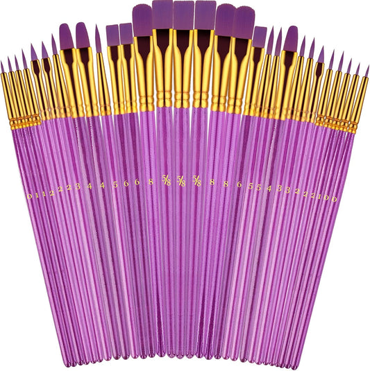 Paint Brushes Set, 30 Pcs Paint Brushes for Acrylic Painting, Watercolor Acrylic Oil Paint Brush, Artist Paintbrushes for Body Face Rock Canvas, Kids Adult Drawing Arts Crafts Supplies, Purple
