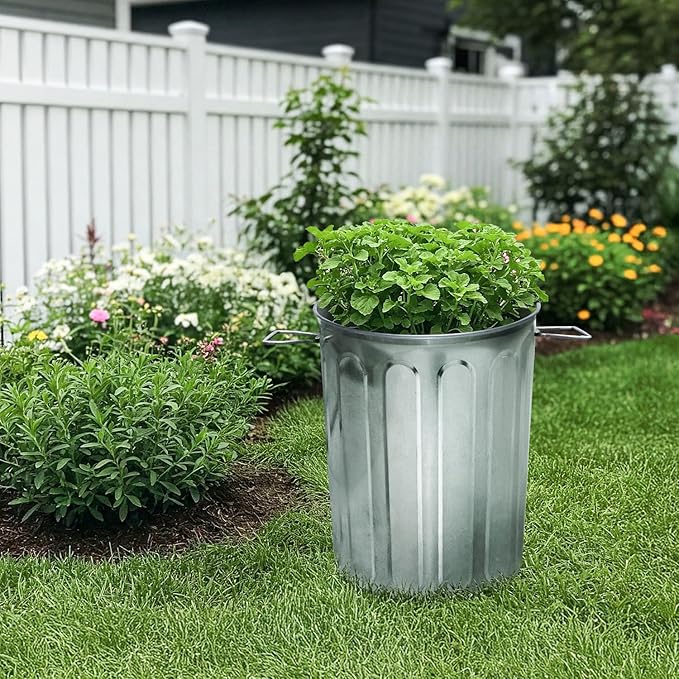Plexon 5 Gallon Small Metal Trash Can with Lid Outdoor Galvanized Bucket with Lid 5 Gal Fireplace Ash Bucket for Wood Stove Storage Can for Dog Food Bird Seed Storage Container Rodent Pet Proof 6 Pack