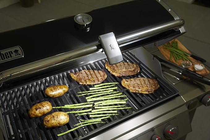 Weber Handle Grill 'N Go Light, One Size, Grey