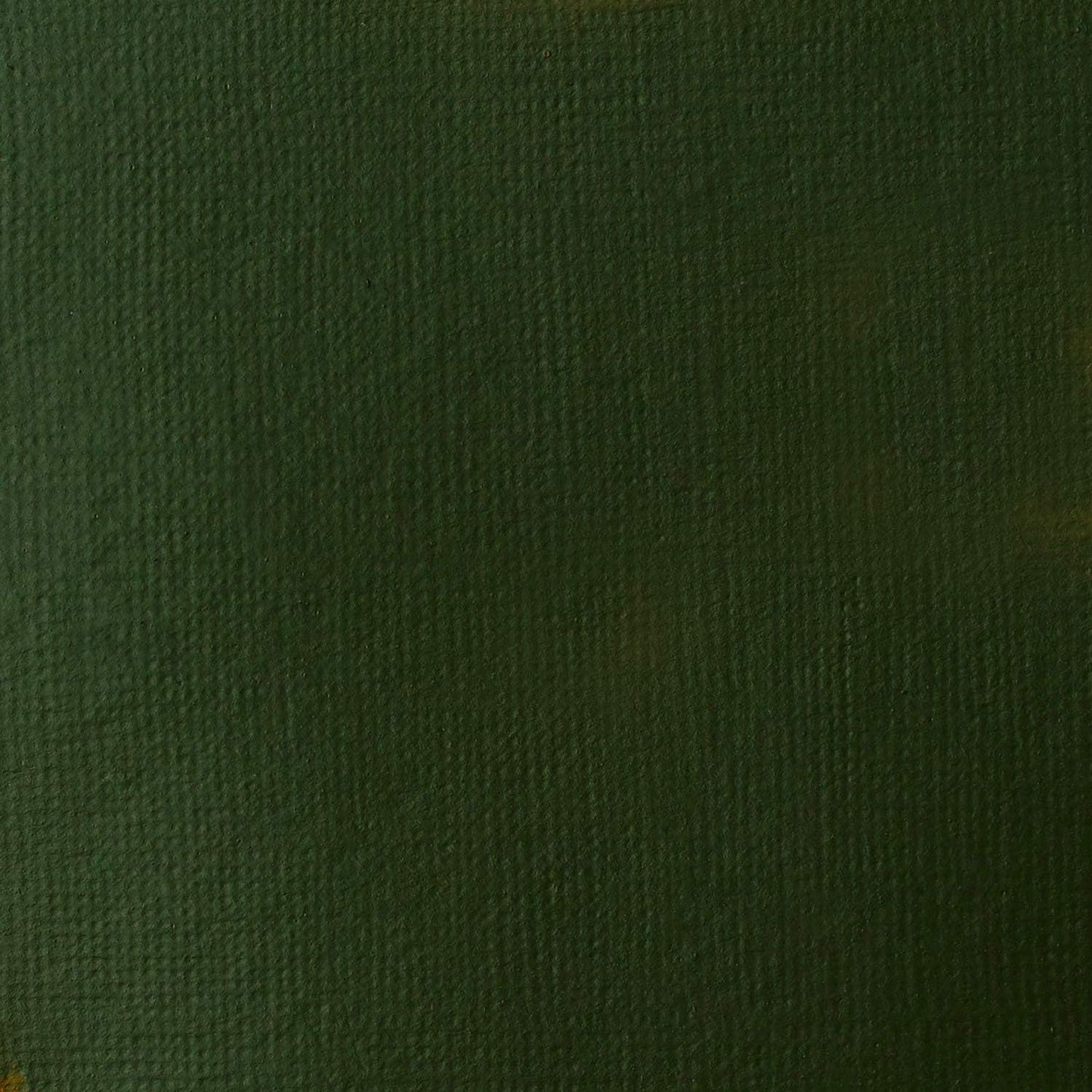 Liquitex BASICS Acrylic Paint, 946ml (32-oz) Jar, Hooker’s Green Hue Permanent