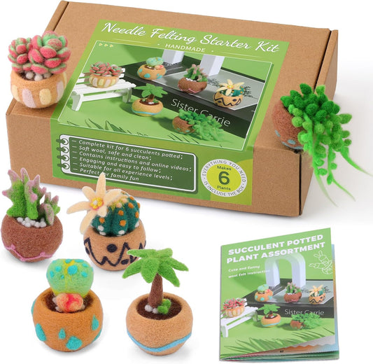 Yizzvb Needle Felting Kit, 6 Pcs Succulent Felting Kit for Beginner, Felting Kit, Needle Felting Tools Including Wool Roving, Foam Mat, Felting Needles and Instructions for DIY Felting Starters