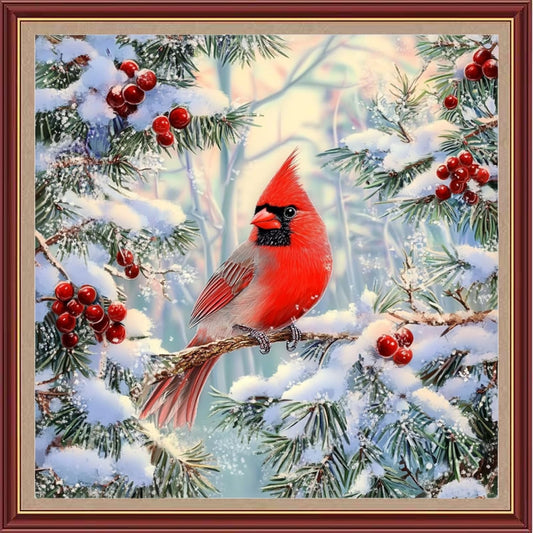 DMCXART Counted Cross Stitch Kits for Adults Needlepoint Kits Unprinted Cross Stitching Embroidery Kit 11CT Cross Stitch Supplies-Colorful Little Bird Snow Scene 18x18 inch