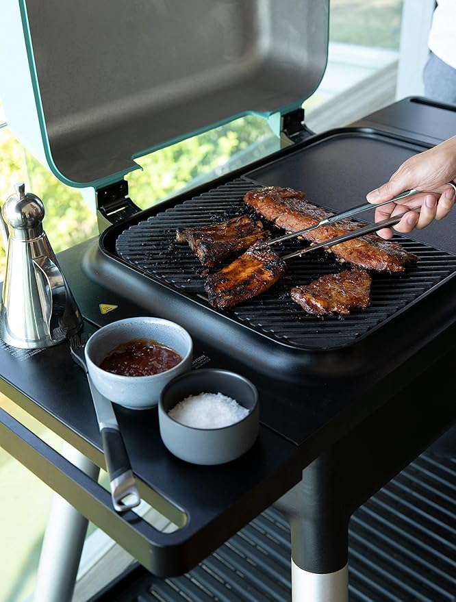 Everdure FORCE 2 Burner Gas Grill, Liquid Propane Portable BBQ Grill with Die-Cast Aluminum Body and Fast-Ignition Technology, 388 Square Inches of Grilling Surface, Adjustable Height, Matte Black