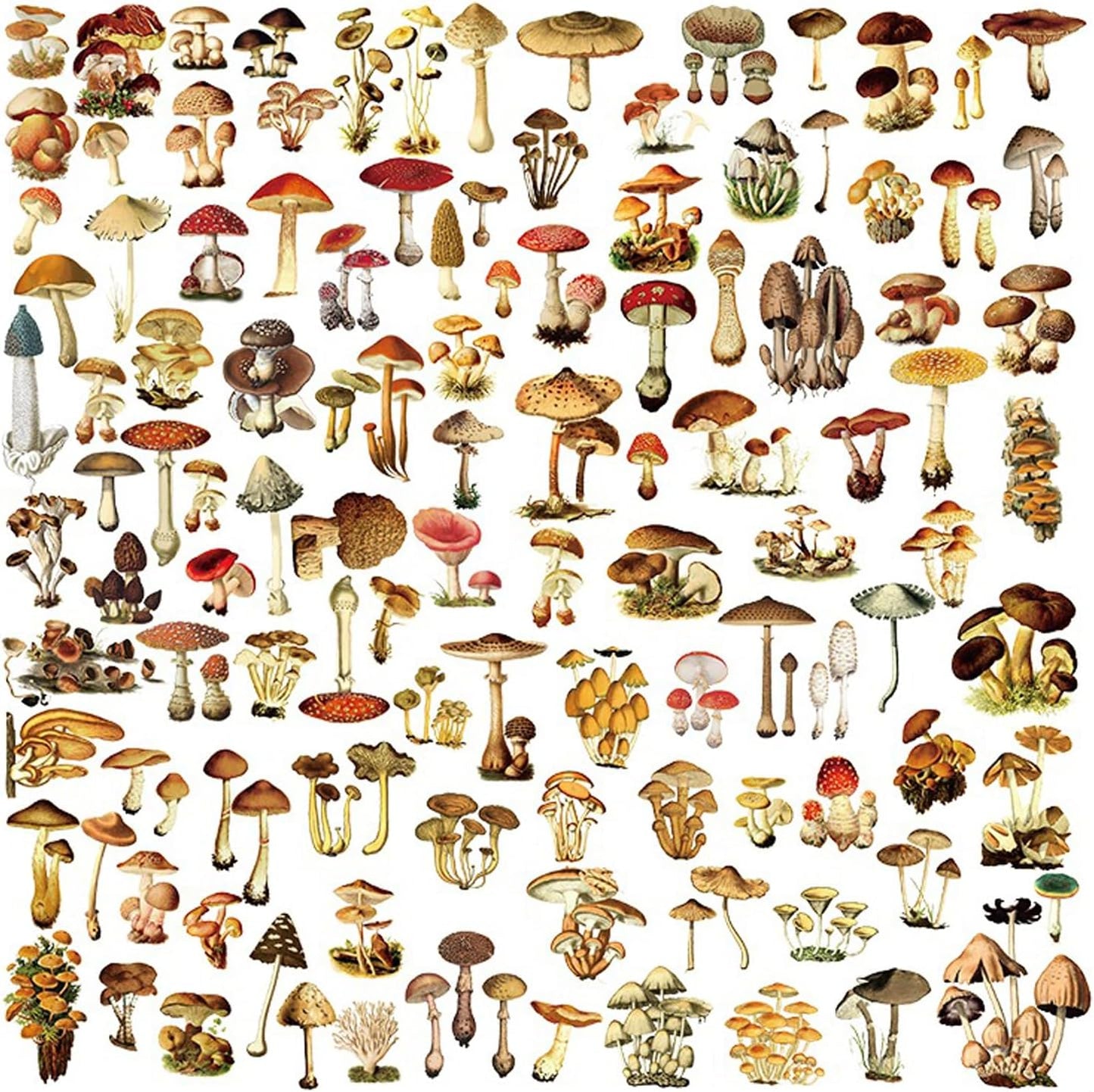 Vintage Vellum Stickers Floral Plants Elements Scrapbooking Supplies Flowers Botanic Natural Translucent Paper Self-Adhesive Junk-Journal Items (Small Mushroom)