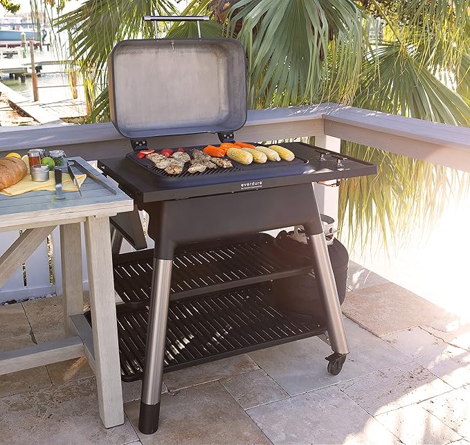 Everdure FORCE 2 Burner Gas Grill, Liquid Propane Portable BBQ Grill with Die-Cast Aluminum Body and Fast-Ignition Technology, 388 Square Inches of Grilling Surface, Adjustable Height, Matte Black