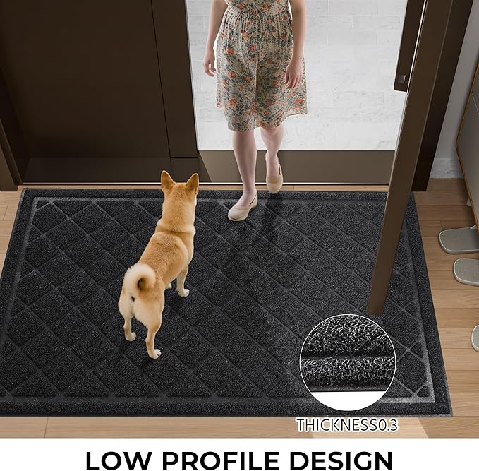 Front Door Mat Indoor Outdoor Entrance, 24" x 48" All-Season Heavy Duty Waterproof Doormat, Non-Slip Absorbent Entryway Mat, Easy to Clean, Low Profile Commercial Floor Mat for Indoor Outdoor