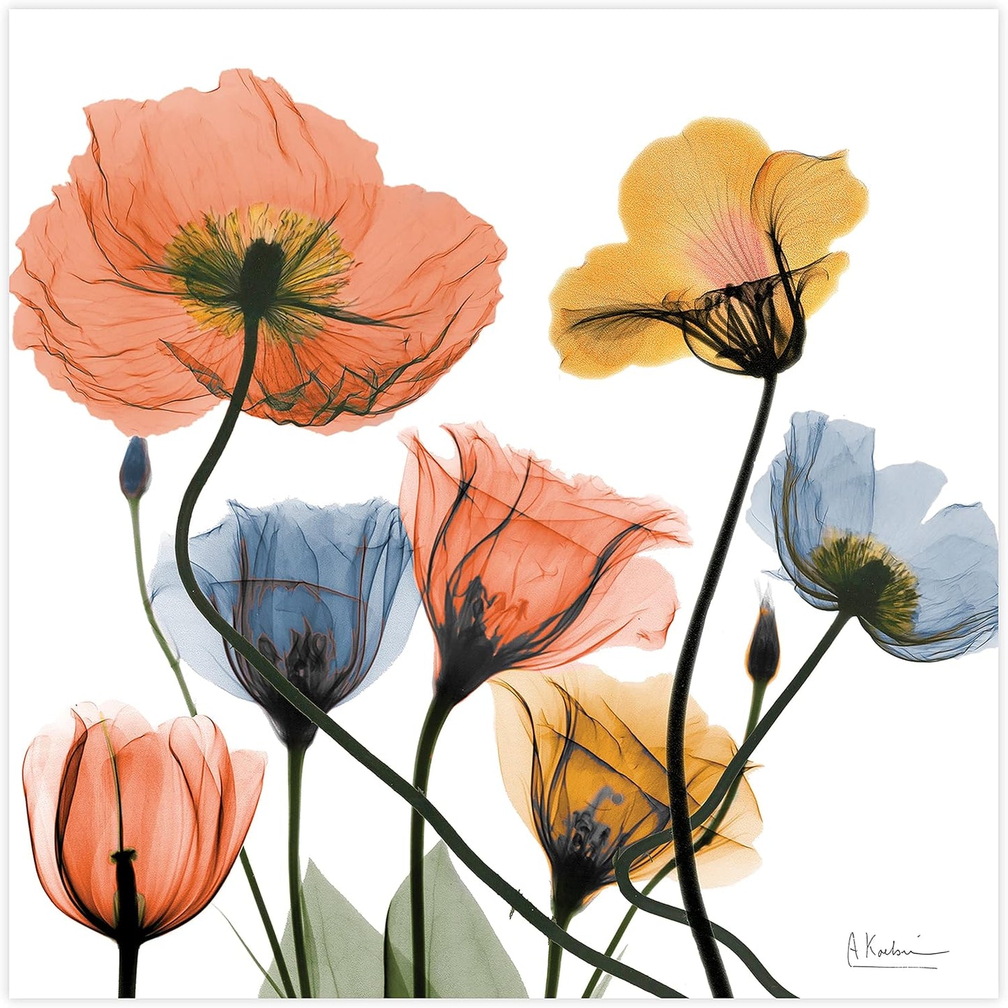 Empire Art Direct Frameless Free Floating Tempered Glass Panel Graphic Wall Art Ready to Hang, 24" x 24", Flowers and Ferns, Orange and Blue Flower