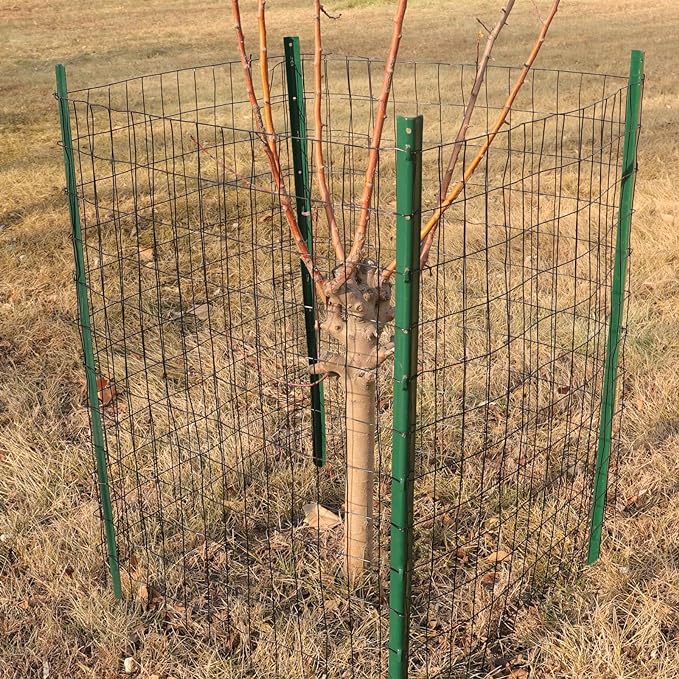 Black PVC Coated Welded Wire Fence 36 Inch x 25 Foot, 2 Inch x 3 Inch 16GA, Garden Border Fencing Roll Vinyl Coating Metal Wire Mesh for Yard Vegetable Plant Protection Poultry Netting