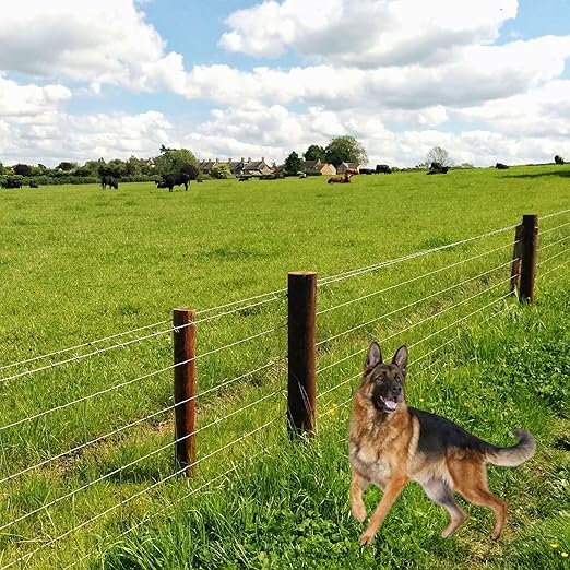 Farm Fence 40in x 33ft Galvanized Field Wire Fencing,Heavy Zinc Coating Cattle Fence,Deer Fence,Goat Fence,Hog Wire Fence for Yard Garden & Animals Protection