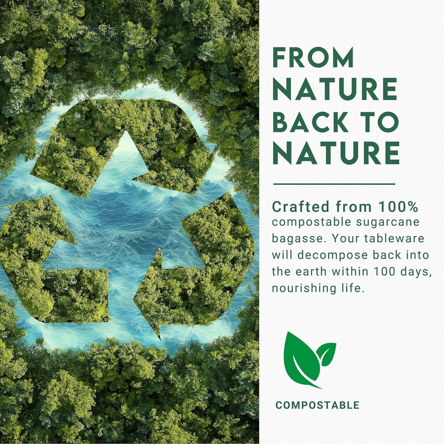 100% Compostable Oval Paper Plates 12 inch Bulk 100 Count, Heavy Duty Large Disposable Plates, Eco-Renewable Sugarcane Pulp Plates for Party,Dinner& Daily Use, White